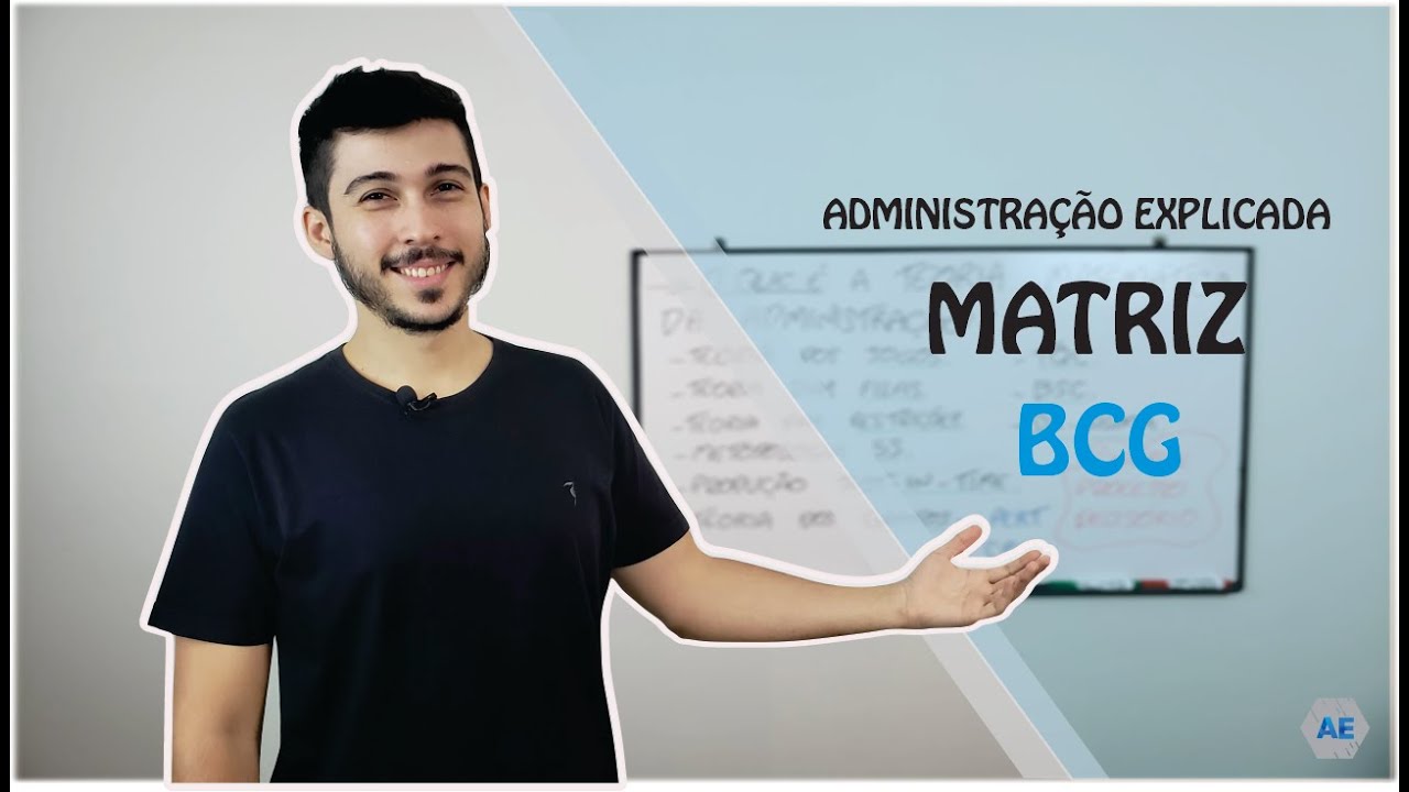 RESUMÃO - O que é a Matriz BCG?