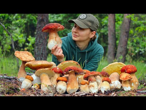 Picking and cooking Porcini mushrooms in Ukrainian forest in June, Life in the village