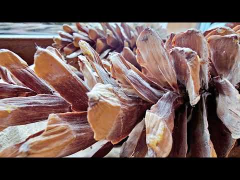 Domek Bachledka Bachledova dolina - Ždiar 4