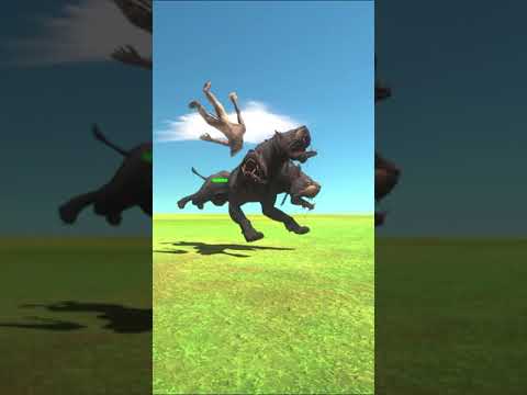 ARBS Shorts｜Three-Headed Dog vs Werewolf