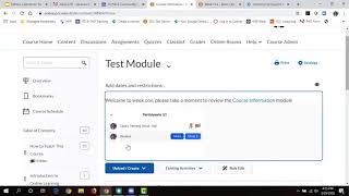 D2L Brightspace: Content Beyond the Basics--Casey Twining