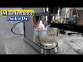 How To Flush Your Casabrews Espresso Maker