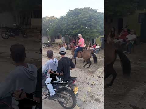 Buenavista sucre lo mejor de la costa.