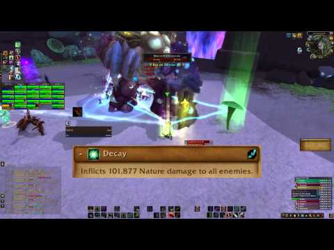 TiB Presents - Brackenspore Heroic