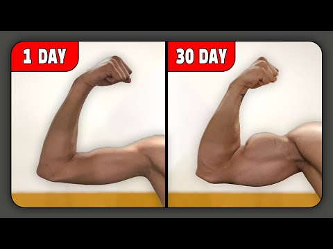 5 BEST Exercises to Bigger Arms in 30 Days (NO EQUIMENT)