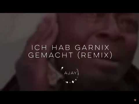 Ich hab Garnix gemacht Remix