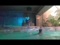 Camelback Lodge Aquatopia The Lost River