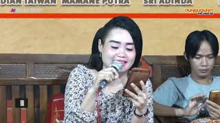 Download lagu MANUK UCUL NGABUBURIT NING UMAH BAE mp3