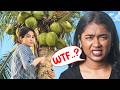 Why South Indians Are Angry At Bollywood ️