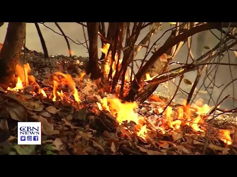 CBN NewsWatch AM: October 25, 2019