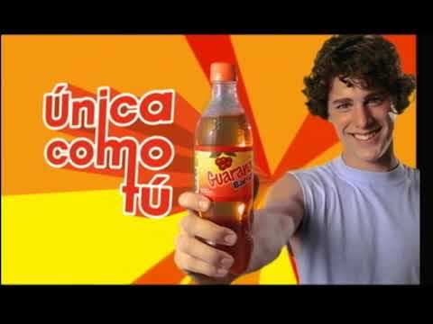 REEL BRUNO RENZO 2018