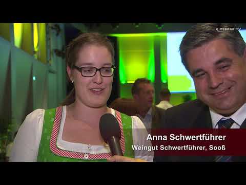 MCO-TV: Schwertführer 47er Landessieger Niederösterreich