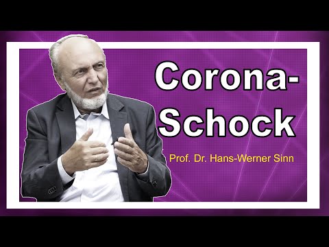 Hans-Werner Sinn: Who profits from the Corona crisis? The inconvenient truth about aid money!!