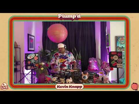 Kevin Knapp - Plump x SNOE V2 | Dirtybird Live