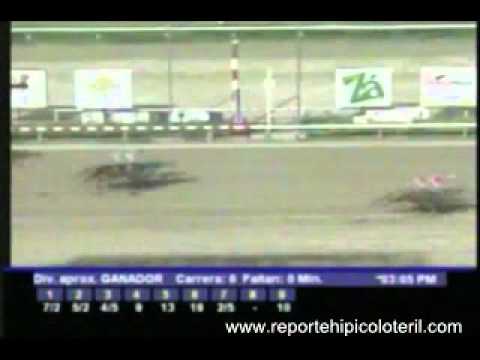 Resumen Domingo 11 de Diciembre de 2011 - La Rinconada