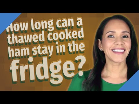 2nd YouTube video about how long can you leave ham out