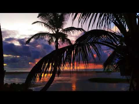 Imagens da Praia de Imbassaí 🌴KVSH, Bruno Be, Fagin - Steal Your Love (Áudio Oficial) ft. Fagin