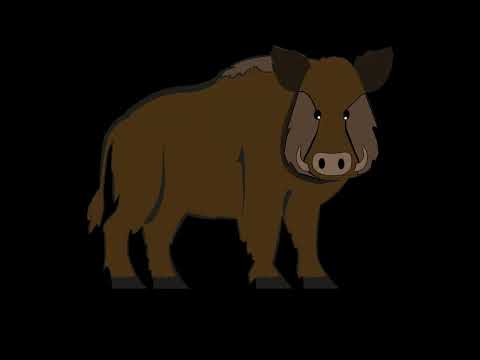 Pig Grunting Barking Sound Effect