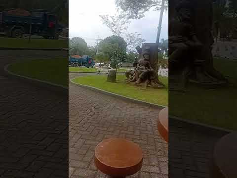 japuiba. cachoeira. de. macacu. RJ