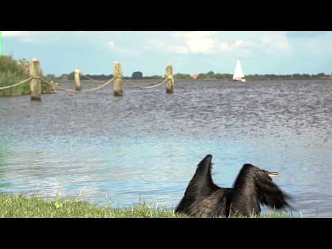 2.4mR worlds 2017 - Pre Race