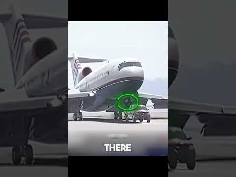 Georgina's Life Was Saved. Who Was This Driver?