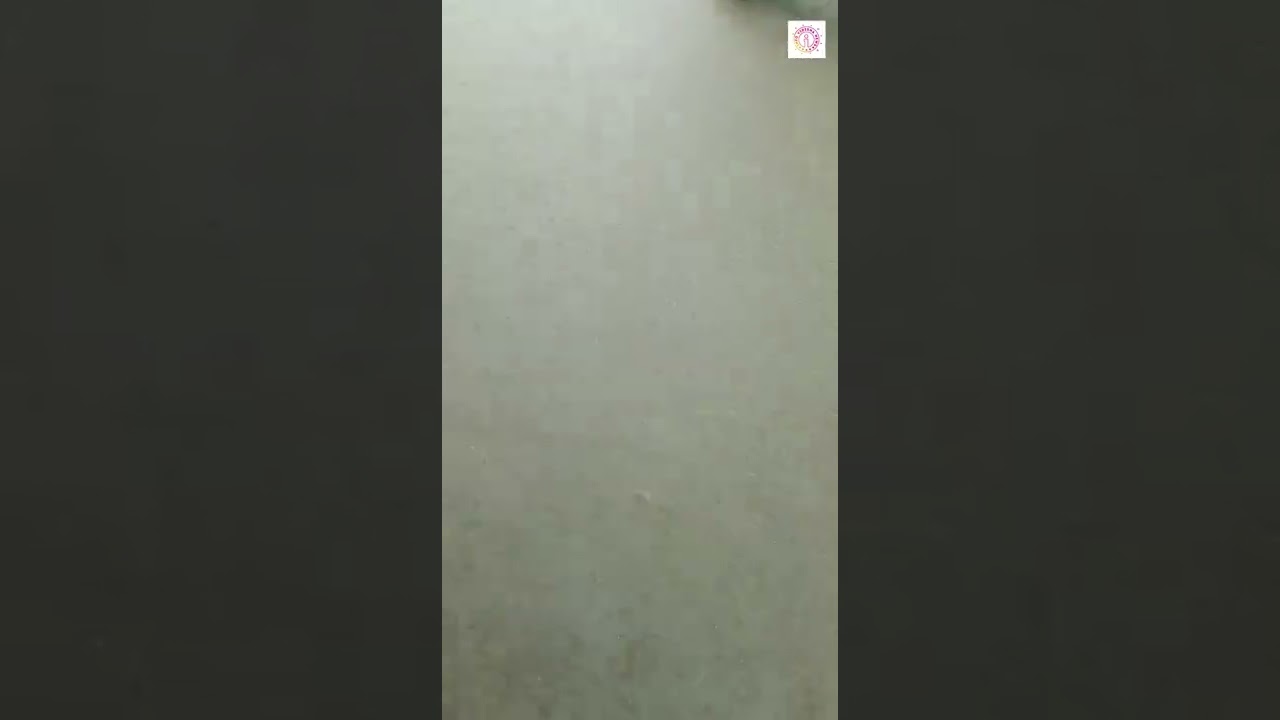 VIRAL VIDEO VIDISHA - जब बाढ़ में घिर गया घर तो बच्ची ने रिपोर्टर बनकर उठाई आवाज देखिए .....