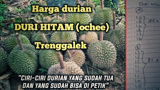 Download lagu Price of BLACK THORNS (ochee) durian TRENGGALEK mp3