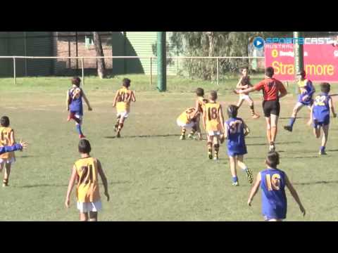 2016 EDFL U10 Div 3 Grand Final - Hadfield highlights