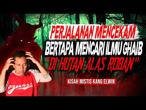 KESAKSIAN MENCARI ILMU BERUBAH WAJAH & PELET DI HUTAN ALAS ROBAN CERITA HOROR MISTERI ILMU GHAIB