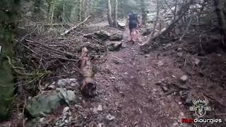 Ελάφι Πάρνηθας Trail 2026