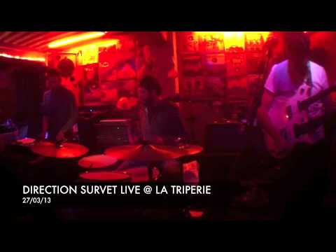 Direction Survet + Lunatic Toys live @ La Triperie, Lyon 27/03/13