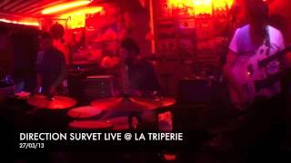 Direction Survet + Lunatic Toys live @ La Triperie, Lyon 27/03/13