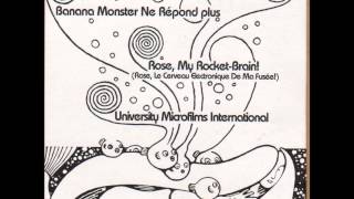 STEREOLAB Rose My Rocket Brain