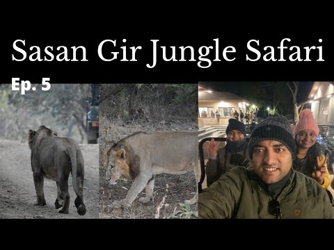 Lion dikha || Gir booking guidance || Pune to Gir Forest || Ep. 5, || Gir Forest || Somnath