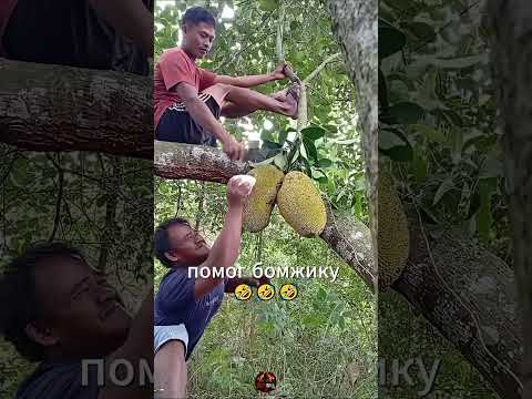 будьте добрее  #раст #rust #rustclips #мем  #прикол #юмор