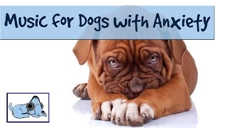 Music Therapy For Your Dog with Anxiety Problems