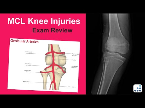 MCL Knee Injuries Exam Review - Raymond Kim, MD