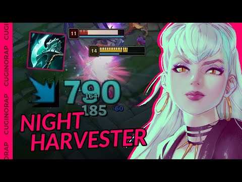 EVELYNN SEASON 11 SPACCA DI BRUTTO