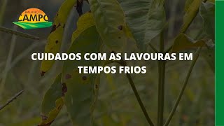Miniatura do vídeo