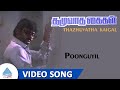 தழுவாத கைகள் Movie Song Poonguyil Video Song Vijayakanth Ambika Ilaiyaraaja