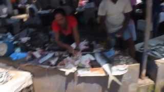 preview picture of video 'Negombo Fish Market (Video 4)'