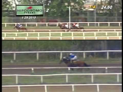 2DA CARRERA DOMINGO 25 DE ENERO DEL 2015 HPR