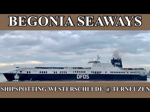 Shipspotting Westerschelde @ Terneuzen - "Begonia Seaways" - 21-03-2023 (1)