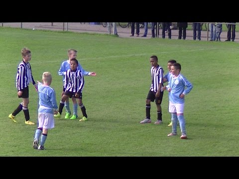 Samenvatting Hermes DVS E1 -  Excelsior'20 E2