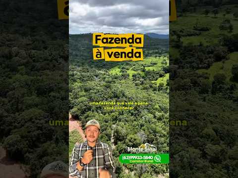 Fazenda estratégica pra gado | Entre Paraíso e Barrolândia Tocantins #fazenda #pecuarista