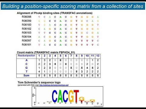 PSSM of a profile (multiple DNA sequences)