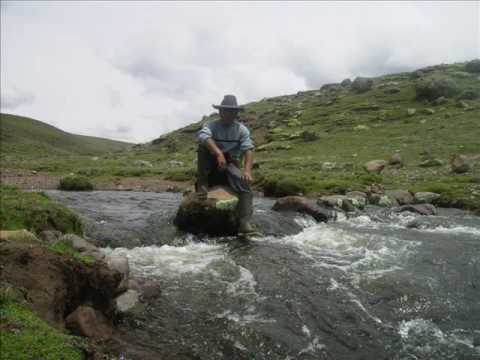 GISELA LAVADO - cuanto te quiero