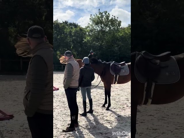 Cheval amateur &eacute;lite