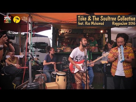 Tóke & The Soultree Collective feat. Ras Muhamad @ Reggae Jam 2016