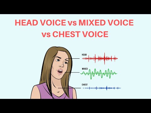 What Is Chest Voice, Mixed Voice, Head Voice And Falsetto?